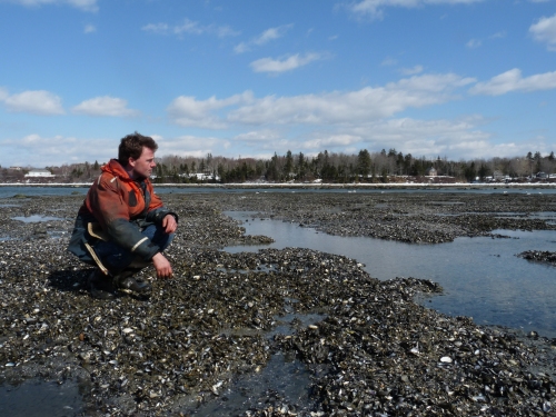 Theo de Koning is inspecting the mussel seed after the ice has melted.